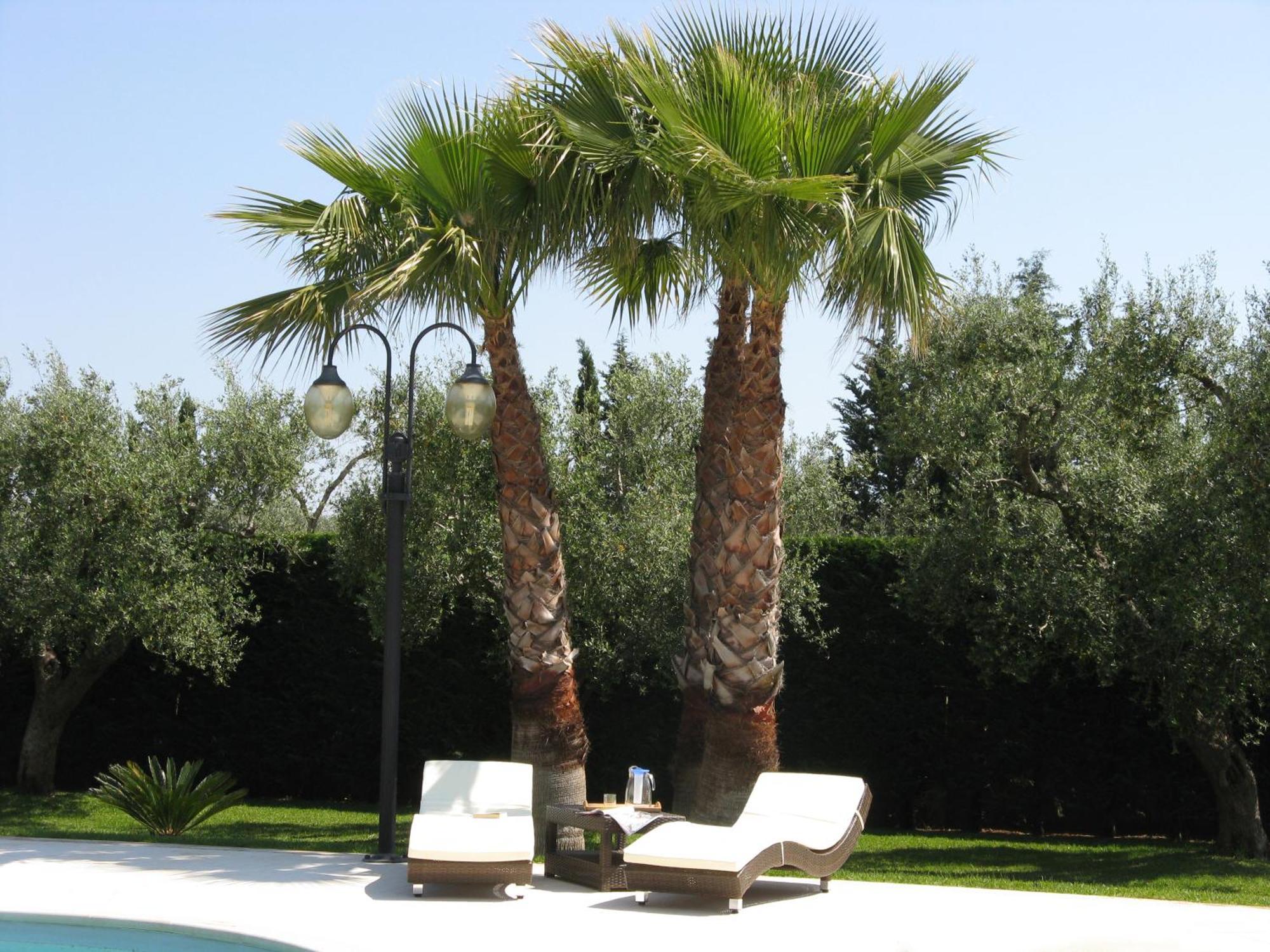 B&B Villa Vittoria Maglie Exterior foto